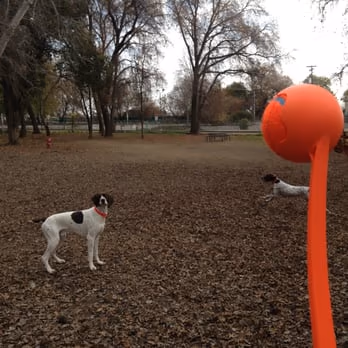Sam Combs Dog Park
